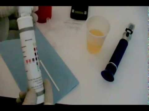 Synthetic Urine Novelty North End Nashua NH
